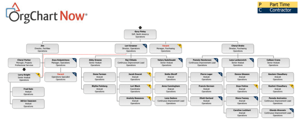 Matrix structure org chart