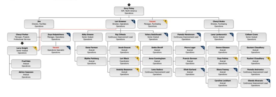 Matrix organizational chart