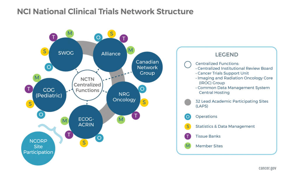 Network government org chart — National Clinical Trials Network